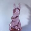DILDO DE VIDRIO CONEJO